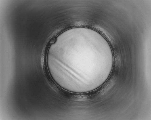 X0000101460443200807211336