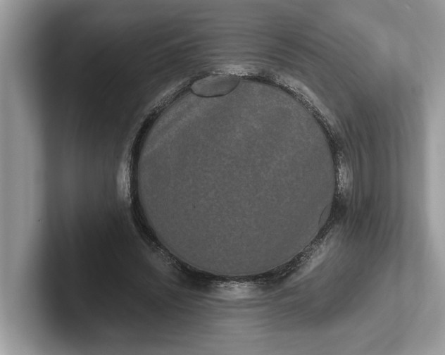 X0000101460444200807211336