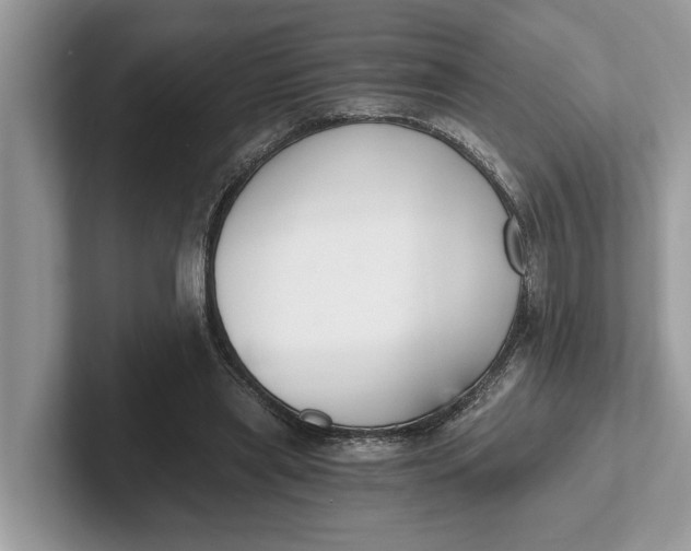 X0000101460445200807211336