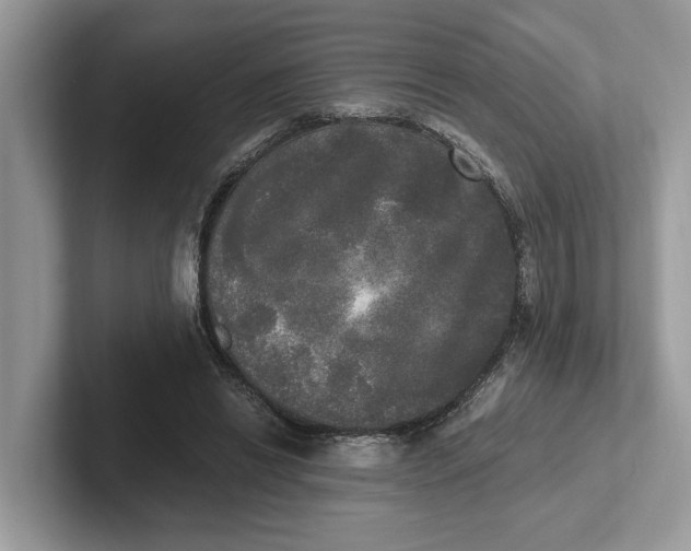 X0000101460446200807211337