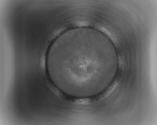 X0000101460447200807211337