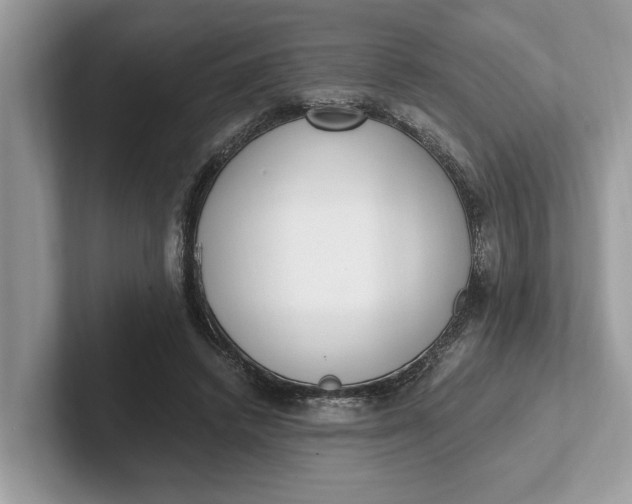 X0000101460448200807211337