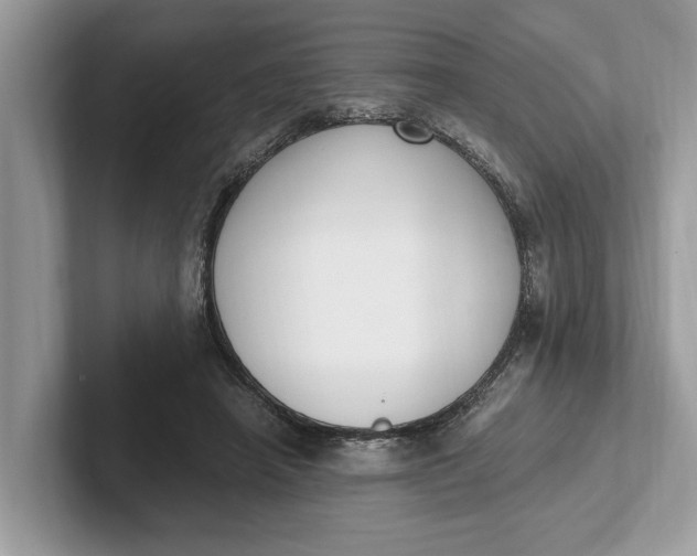 X0000101460450200807211337