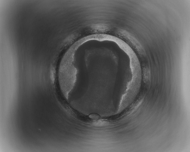 X0000101460451200807211337