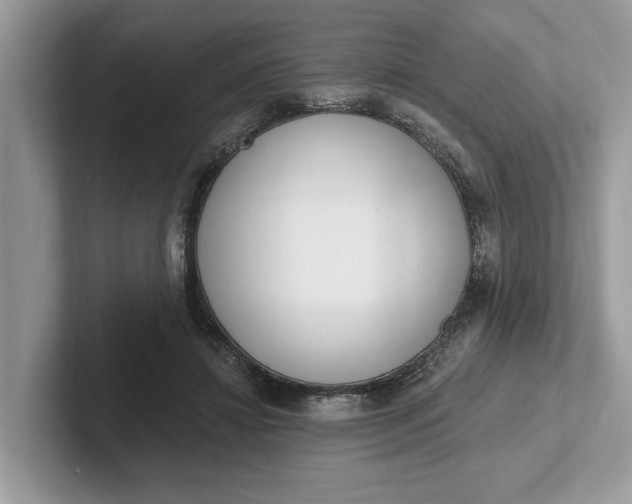 X0000101460452200807211337