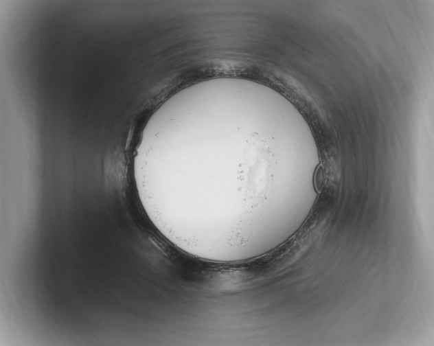 X0000101460456200807211337