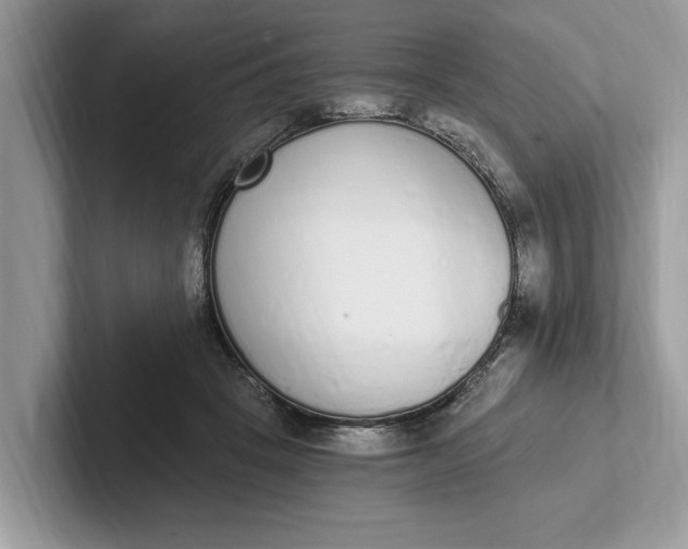 X0000101460457200807211337