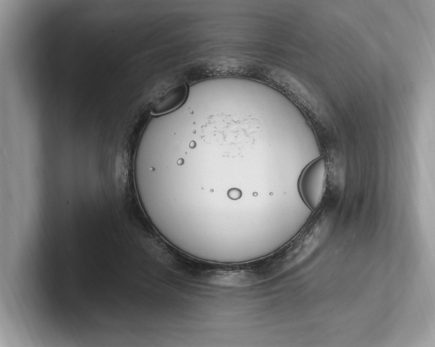 X0000101460458200807211337