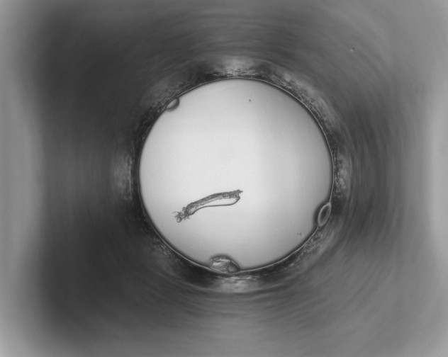 X0000101460461200807211337