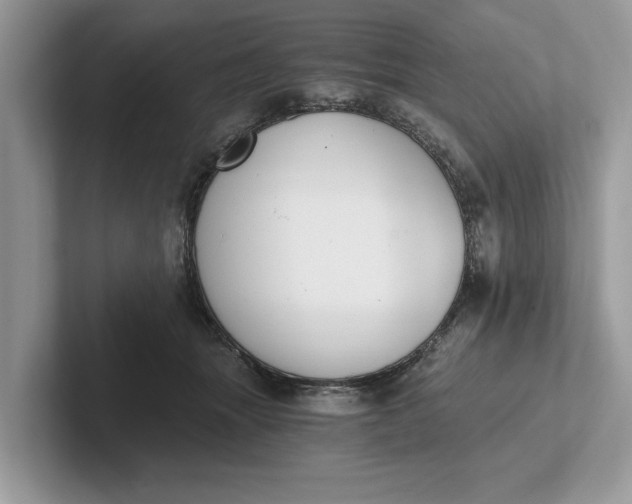 X0000101460463200807211337