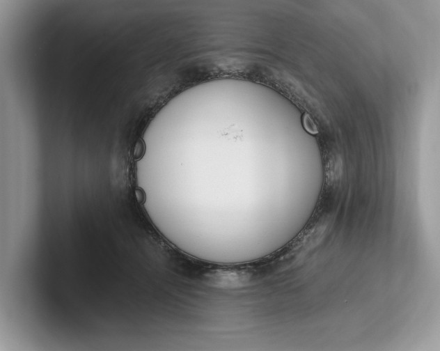 X0000101460464200807211337