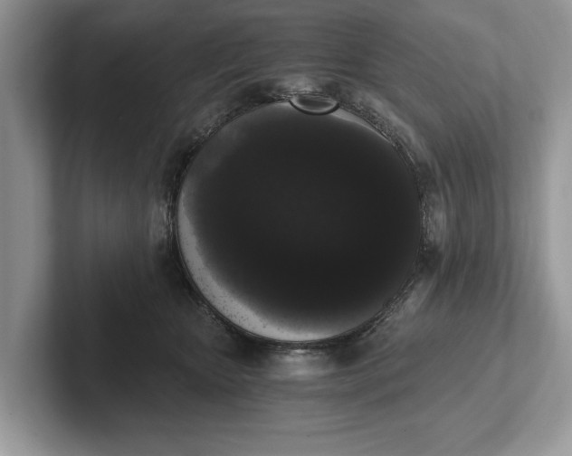 X0000101460467200807211337