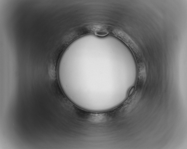 X0000101460469200807211337