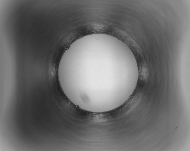 X0000101460472200807211337