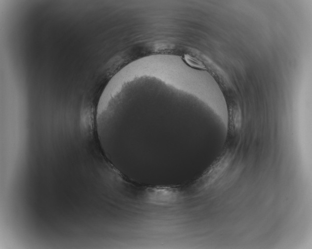 X0000101460475200807211337