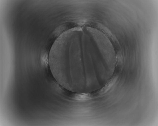 X0000101460479200807211337