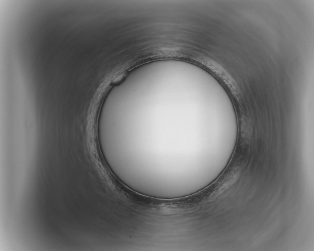 X0000101460481200807211336