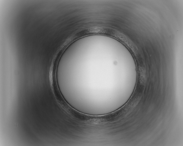 X0000101460482200807211336