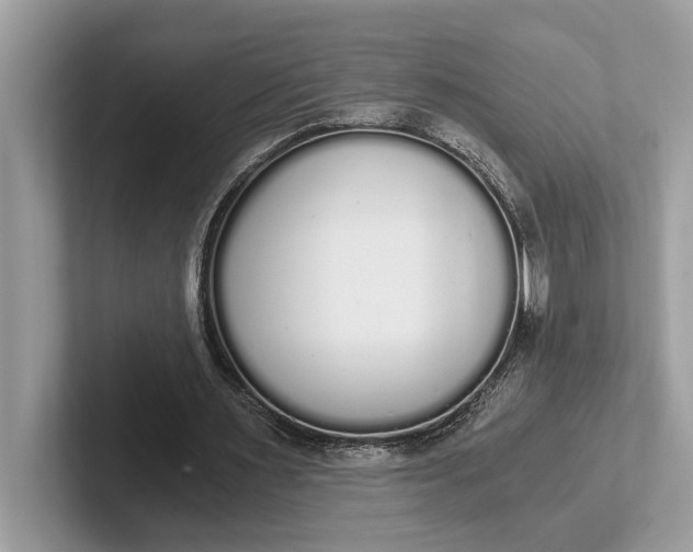 X0000101460483200807211336