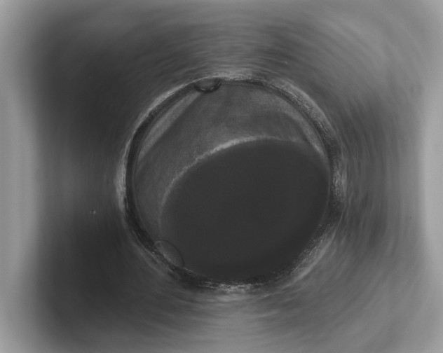 X0000101460484200807211336