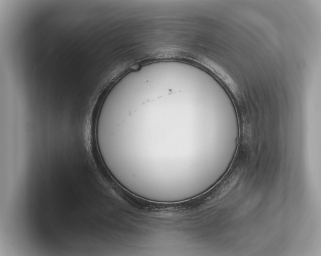 X0000101460485200807211336