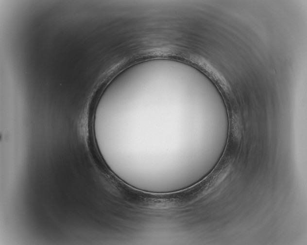 X0000101460486200807211336