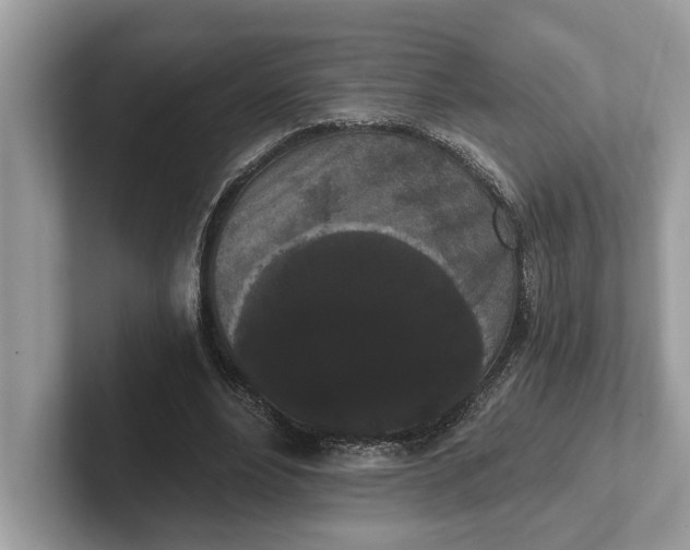 X0000101460488200807211336