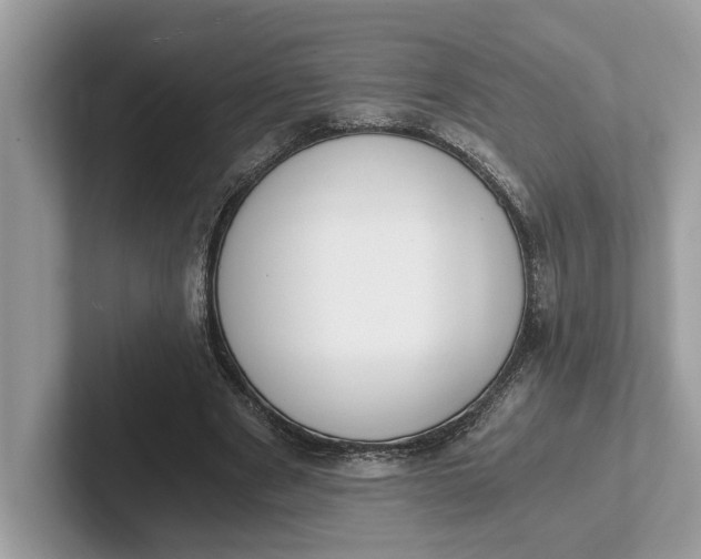 X0000101460489200807211336