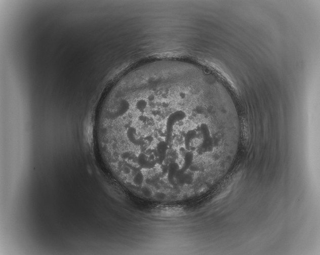 X0000101460491200807211336