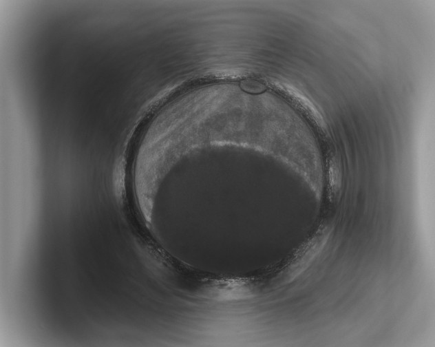 X0000101460492200807211336