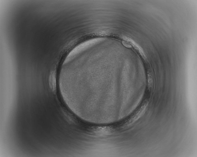 X0000101460493200807211336