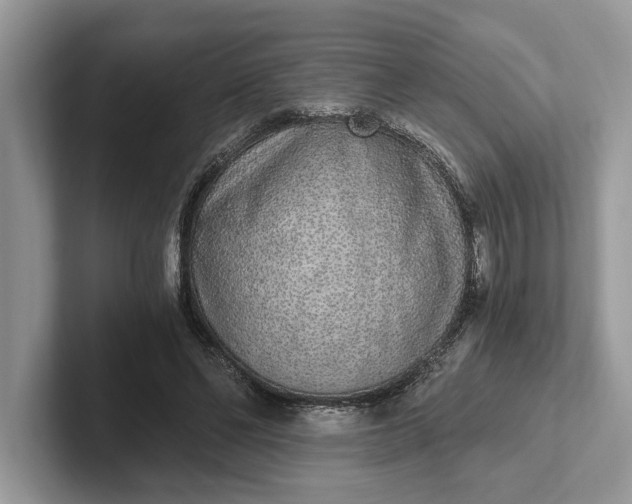 X0000101460494200807211336