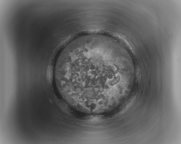 X0000101460495200807211336