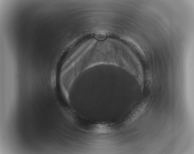 X0000101460496200807211336