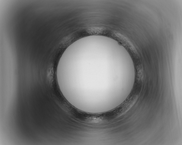 X0000101460498200807211336