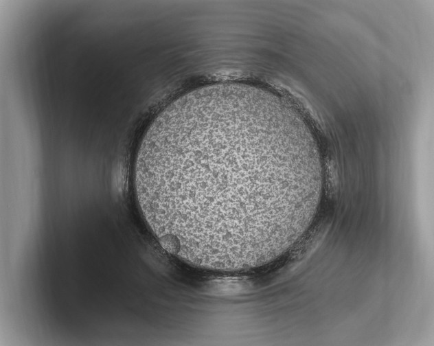 X0000101460499200807211336