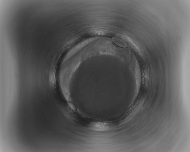 X0000101460500200807211336