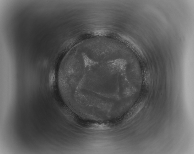 X0000101460502200807211336