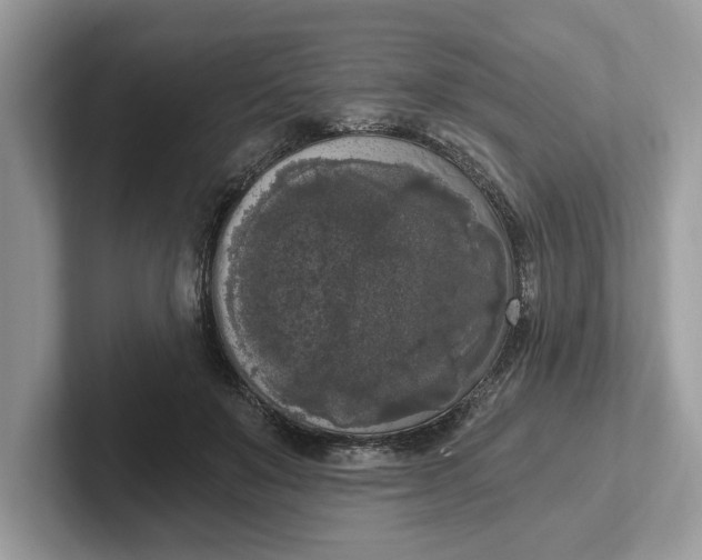 X0000101460503200807211336