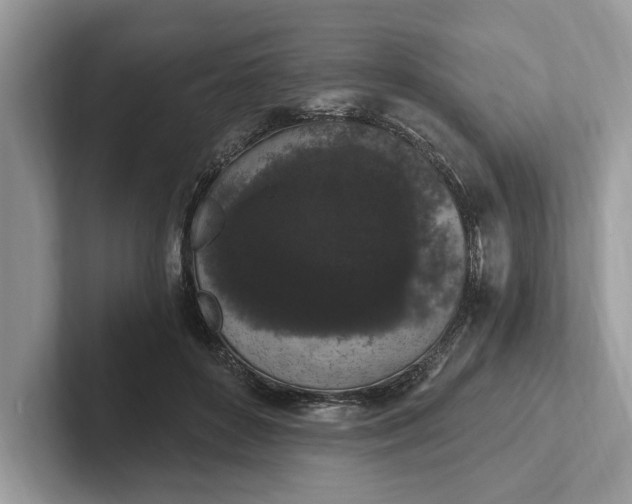 X0000101460504200807211336