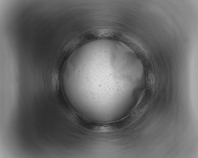 X0000101460506200807211336