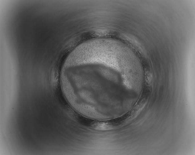 X0000101460507200807211336