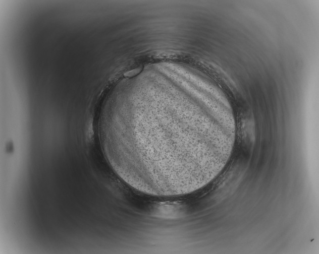 X0000101460508200807211336