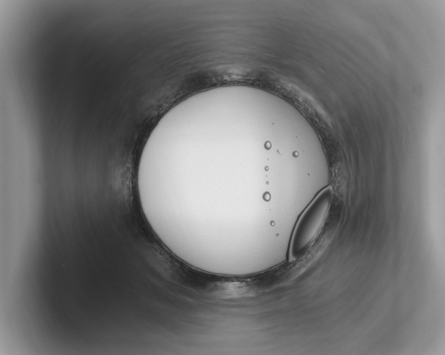 X0000101460509200807211336