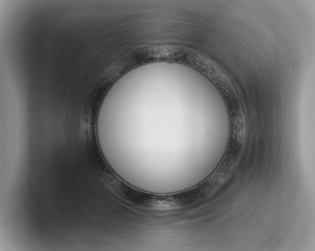 X0000101460510200807211336