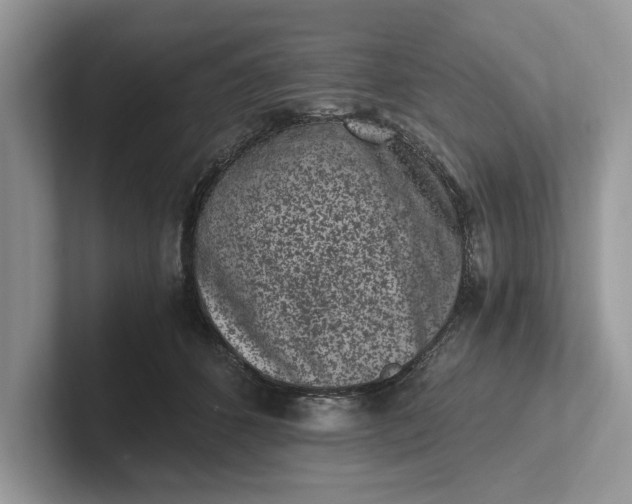 X0000101460512200807211336