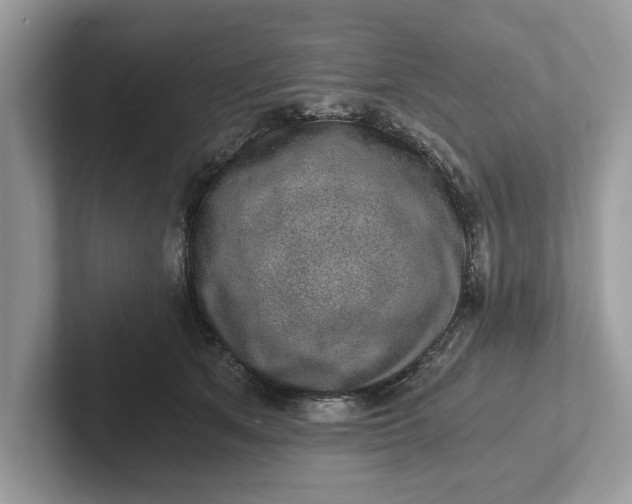 X0000101460513200807211336