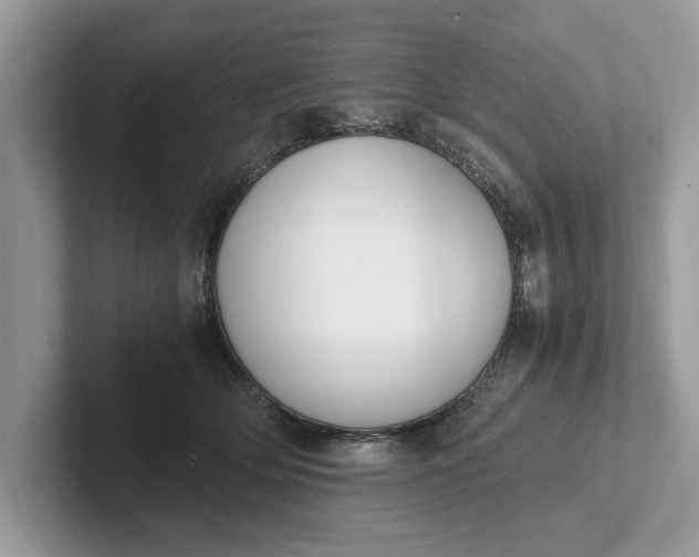 X0000101460514200807211336