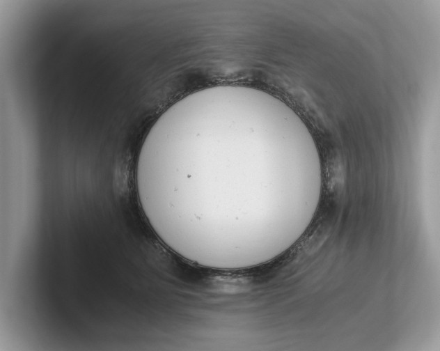 X0000101460515200807211336