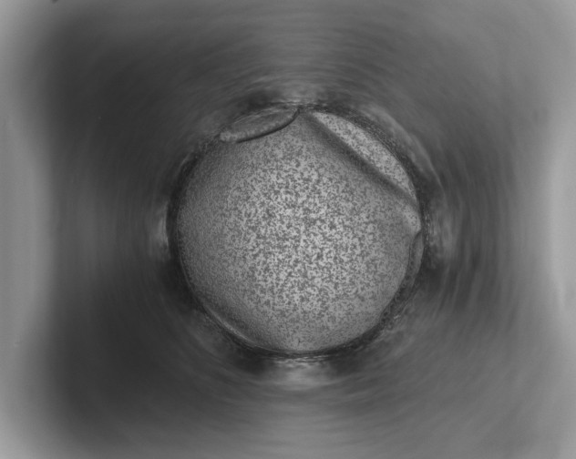 X0000101460516200807211336